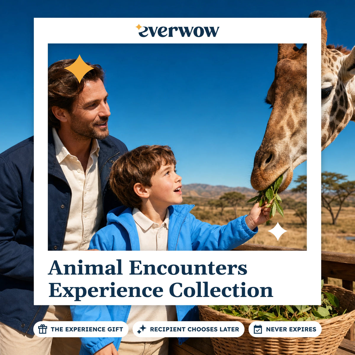 Everwow Animal Encounters Experience Collection experience gift photo in a frame, child feeding a giraffe