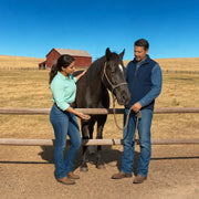 Woman gently resting a hand on a rescued horse at a paddock rail, Animal Sanctuary experience gift