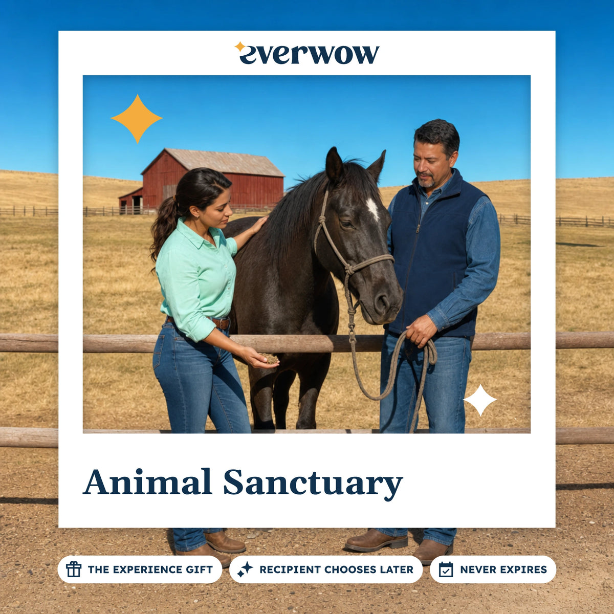 Everwow Animal Sanctuary experience gift photo in a frame, rescued horse at a paddock