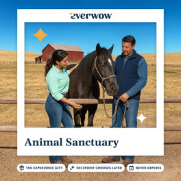 Everwow Animal Sanctuary experience gift photo in a frame, rescued horse at a paddock