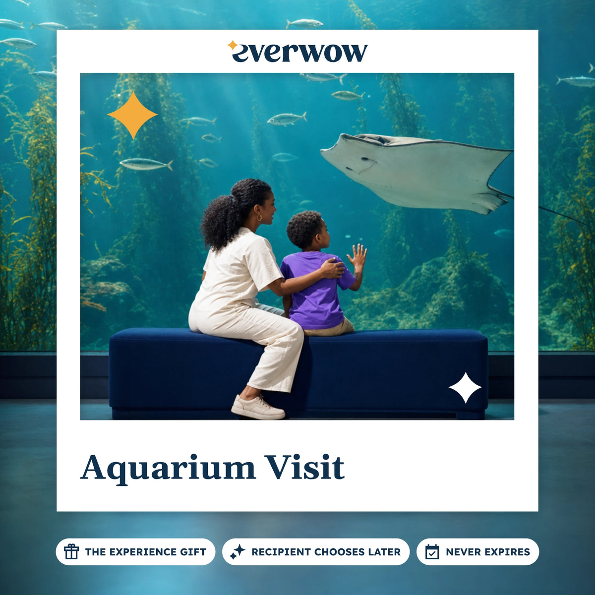 Everwow Aquarium Visit experience gift photo in a frame, ray gliding past the glass