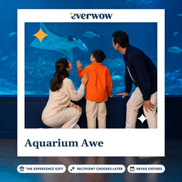 Everwow Aquarium Awe experience gift photo in a frame, child at a manta ray tank
