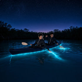Bioluminescence Tours Experience Collection