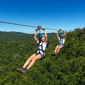 Canopy & Treetop Zip Tour Collection