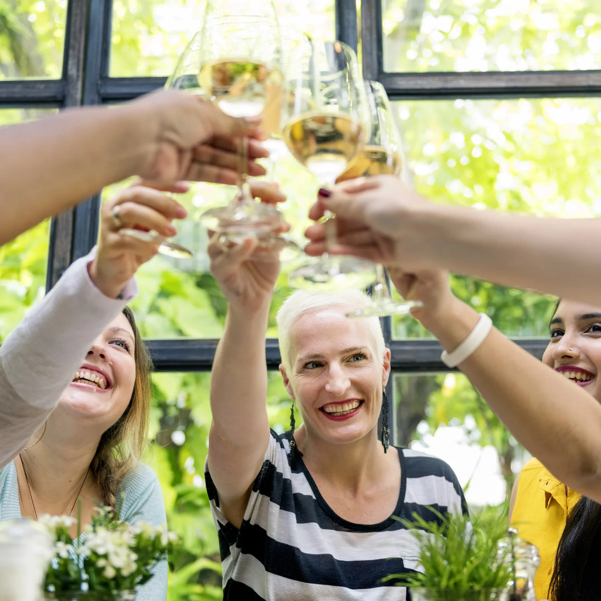 Friends clinking champagne glasses together by a sunlit window at a tasting