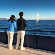 Couple at a boat rail watching a whale spout at sunset, Whale Watch experience gift