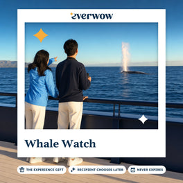 Everwow Whale Watch experience gift photo in a frame, couple watching a whale surface