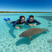 Couple floating near a resting manatee in clear turquoise spring water, Crystal River Manatee Encounter experience gift
