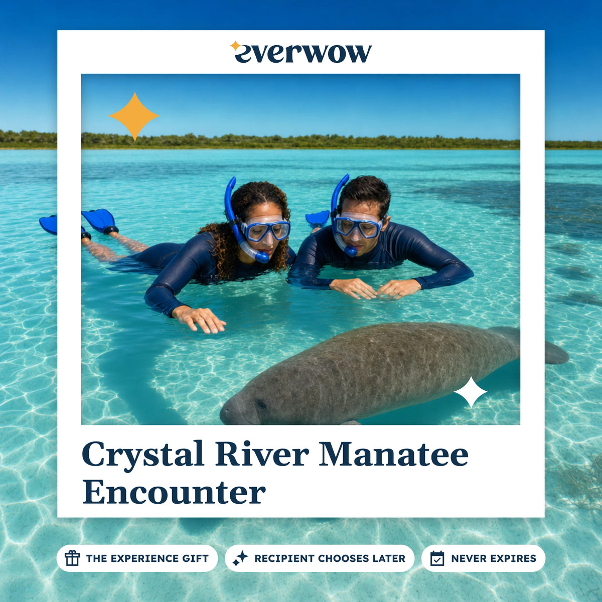 Everwow Crystal River Manatee Encounter experience gift photo in a frame, manatee in clear water