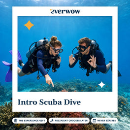 Everwow Intro Scuba Dive experience gift photo in a frame, divers over a coral reef