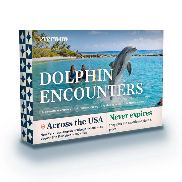 Dolphin Encounters Experience Collection