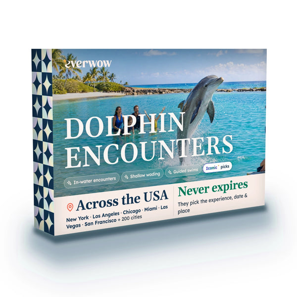 Dolphin Encounters Experience Collection