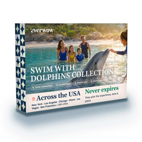 Swim with Dolphins Collection