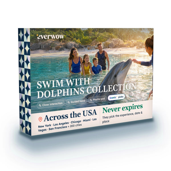 Swim with Dolphins Collection