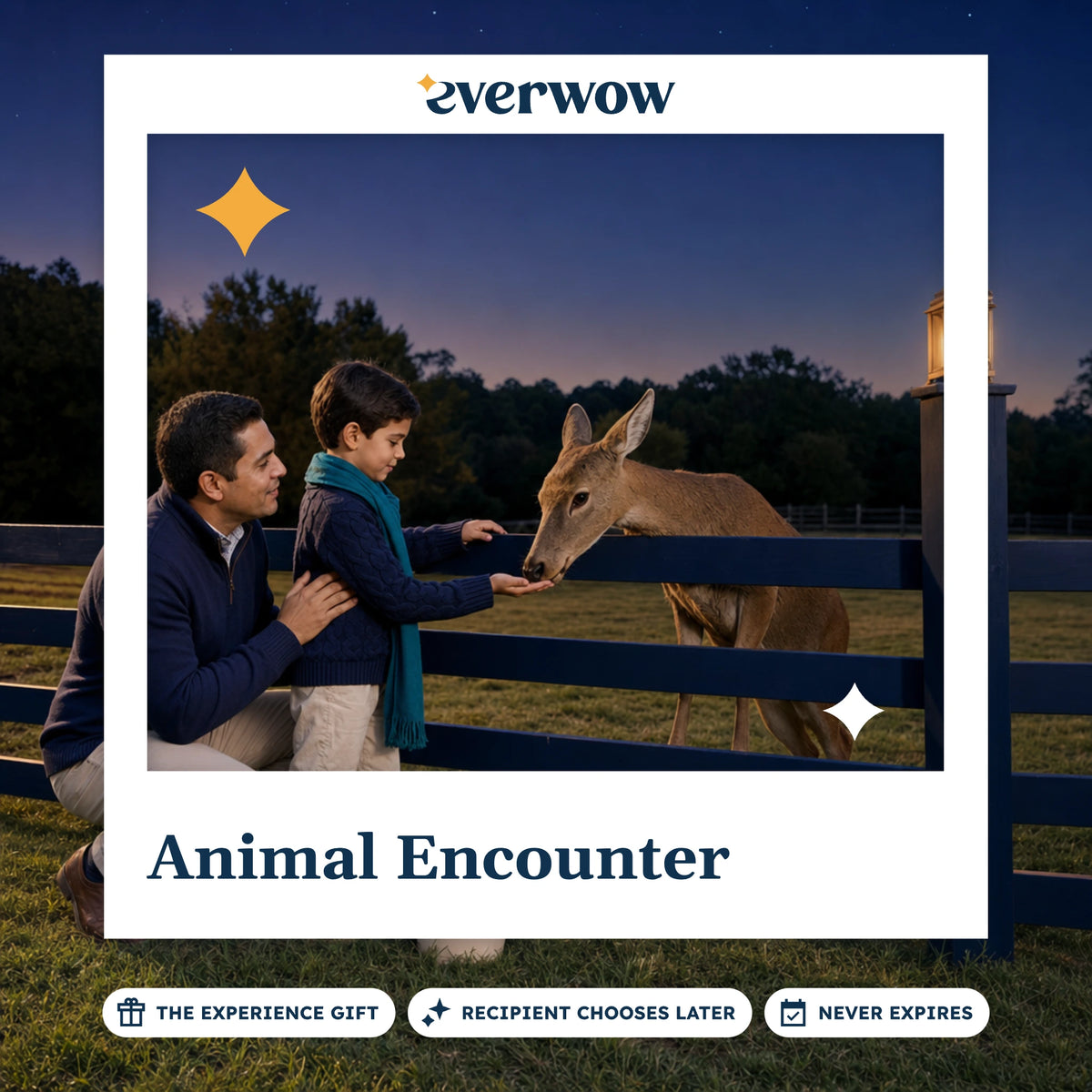 Everwow Animal Encounter experience gift photo in a frame, child feeding a deer