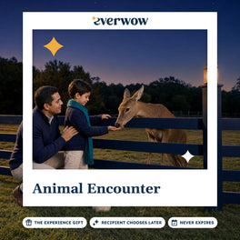 Everwow Animal Encounter experience gift photo in a frame, child feeding a deer