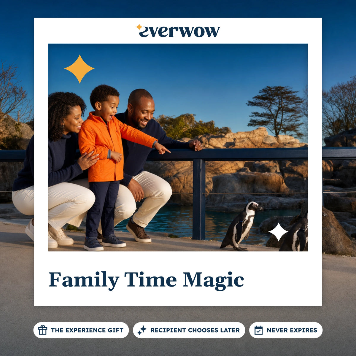 Everwow Family Time Magic experience gift photo in a frame, family watching zoo penguins