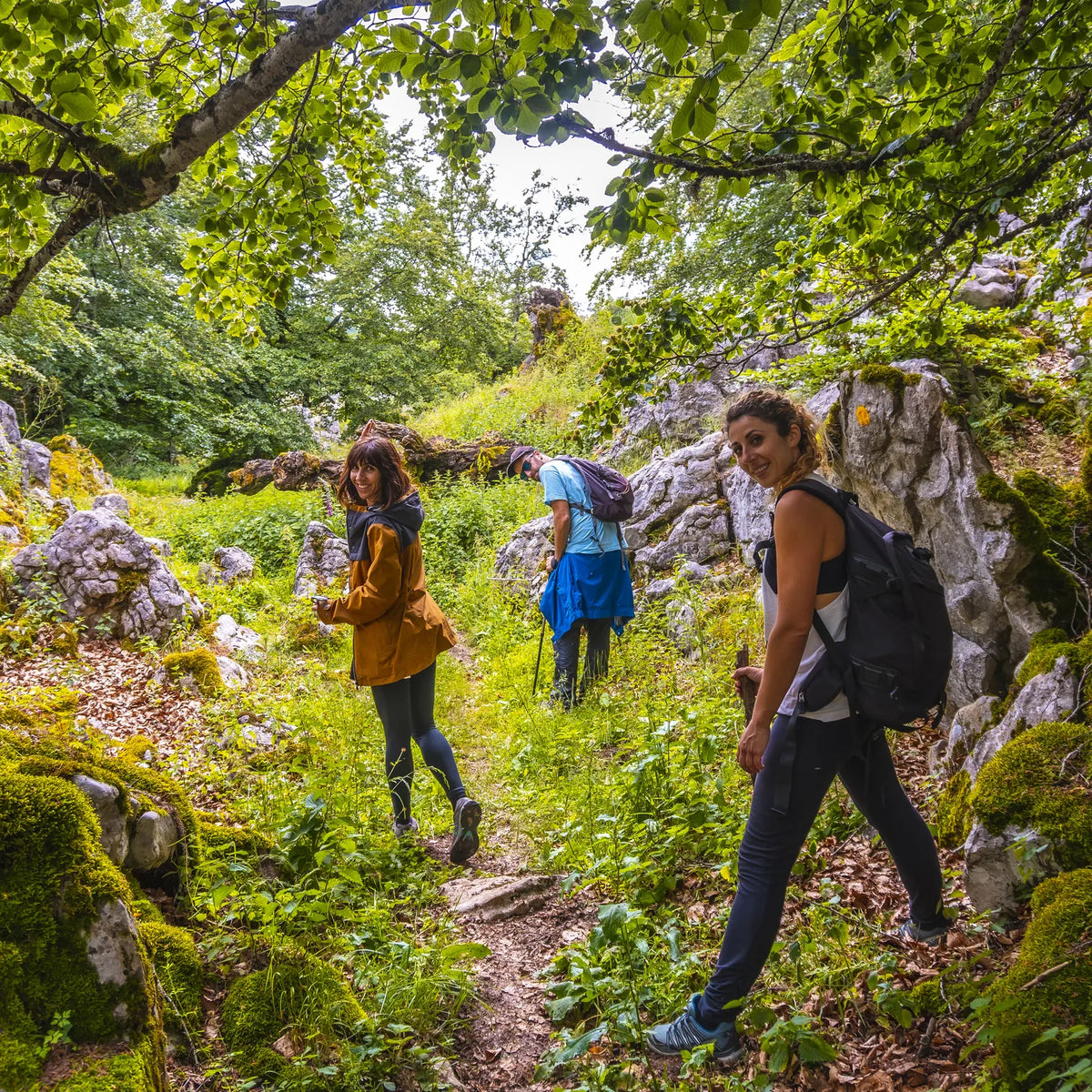 Two hikers with backpacks on a shaded woodland trail during a guided walking day out