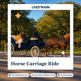 Everwow Horse Carriage Ride experience gift photo in a frame, carriage ride through a park