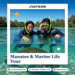 Everwow Manatee & Marine Life Tour experience gift photo in a frame, snorkelers above a manatee