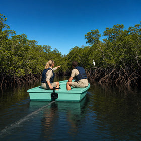 Mangrove & Eco Boat Tours Experience Collection