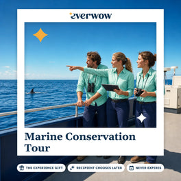 Everwow Marine Conservation Tour experience gift photo in a frame, spotting fins from a boat