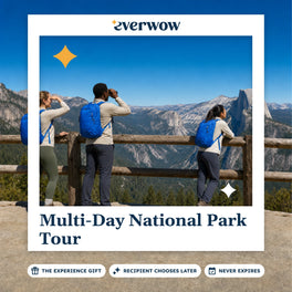Everwow Multi-Day National Park Tour experience gift photo in a frame, travelers at a park overlook