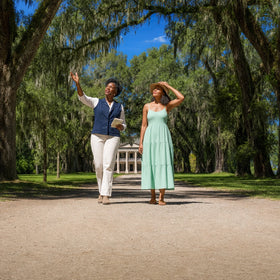 Plantation Tour Collection