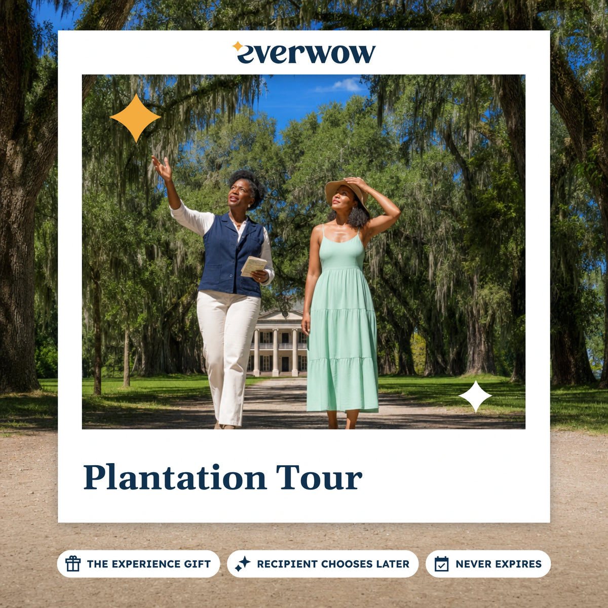 Everwow Plantation Tour experience gift photo in a frame, moss-draped oak avenue