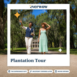 Everwow Plantation Tour experience gift photo in a frame, moss-draped oak avenue