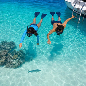 Private Snorkel Charter Collection