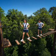 Two friends crossing a net element high in the forest canopy, Ropes Courses & Canopy Tours experience gift