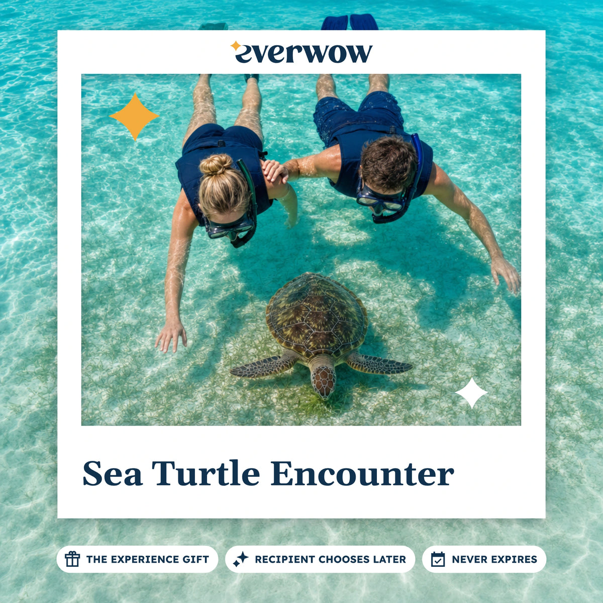 Everwow Sea Turtle Encounter experience gift photo in a frame, turtle grazing below snorkelers