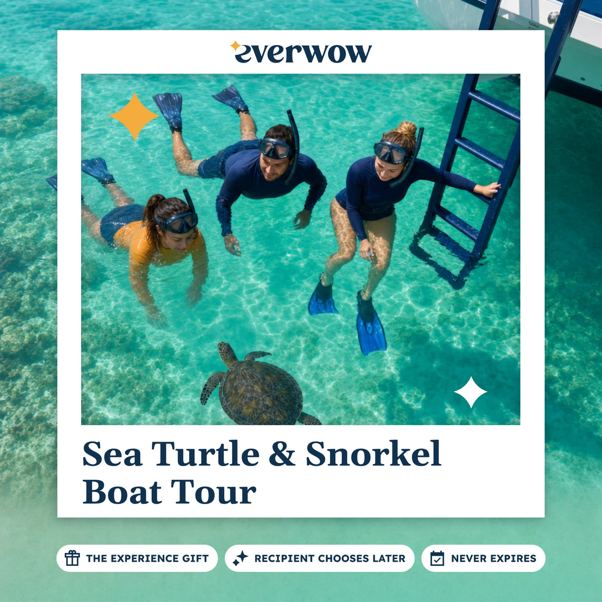 Everwow Sea Turtle & Snorkel Boat Tour experience gift photo in a frame, snorkelers with a sea turtle
