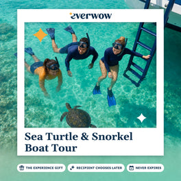 Everwow Sea Turtle & Snorkel Boat Tour experience gift photo in a frame, snorkelers with a sea turtle