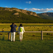 Two people at a timber overlook watching a bison herd graze below, Wildlife Watch experience gift