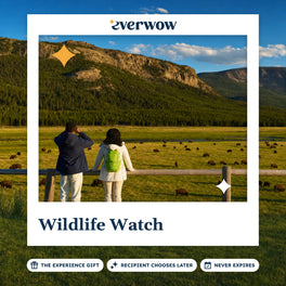 Everwow Wildlife Watch experience gift photo in a frame, bison herd from an overlook