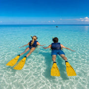 Two swimmers floating at the surface as a dolphin arcs through open water ahead, Snorkel with Dolphins experience gift