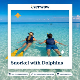 Everwow Snorkel with Dolphins experience gift photo in a frame, swimmers watching a dolphin