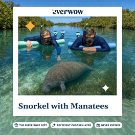 Everwow Snorkel with Manatees experience gift photo in a frame, manatee in a clear spring