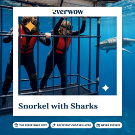 Everwow Snorkel with Sharks experience gift photo in a frame, shark cage in blue water
