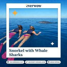 Everwow Snorkel with Whale Sharks experience gift photo in a frame, whale shark near swimmers