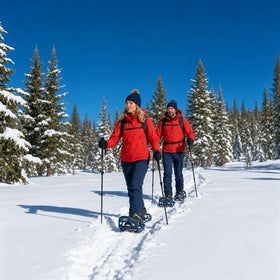 Snowshoeing Experience Collection