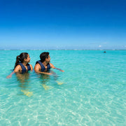 Swimmers in a clear lagoon as a dolphin surfaces in open water ahead, Swim with Dolphins experience gift
