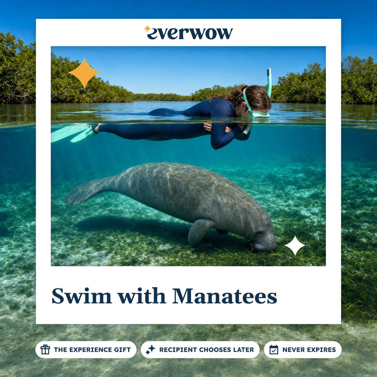 Everwow Swim with Manatees experience gift photo in a frame, manatee beneath a swimmer