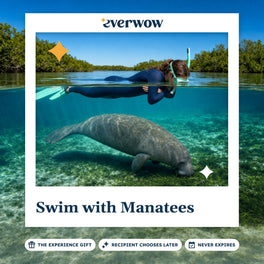 Everwow Swim with Manatees experience gift photo in a frame, manatee beneath a swimmer