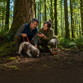 Truffle Hunting Experience Collection