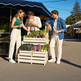 Vegan & Vegetarian Food Tour Collection