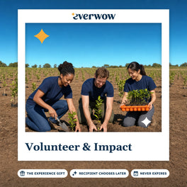 Everwow Volunteer & Impact experience gift photo in a frame, volunteers planting saplings