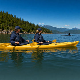 Whale Watching Kayak Collection